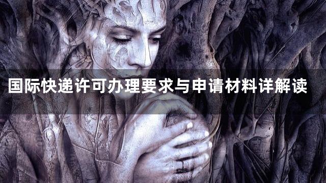 国际快递许可办理要求与申请材料详解读