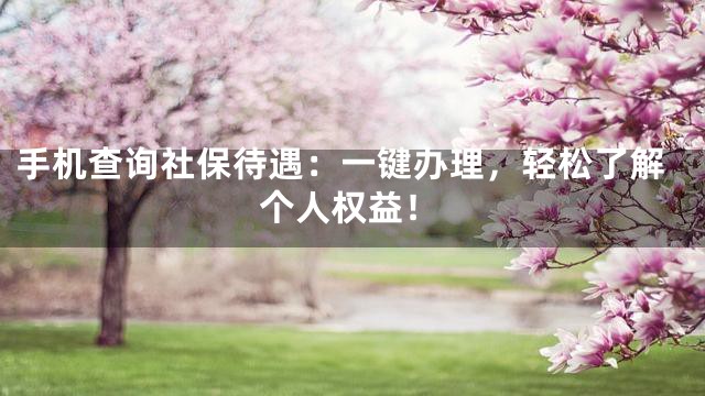 手机查询社保待遇：一键办理，轻松了解个人权益！