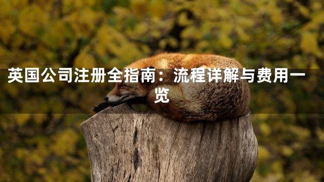 英国公司注册全指南：流程详解与费用一览