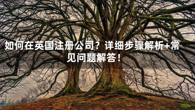 如何在英国注册公司？详细步骤解析+常见问题解答！