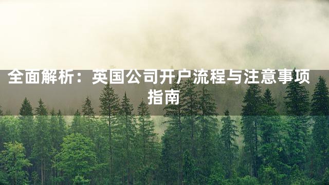 全面解析：英国公司开户流程与注意事项指南
