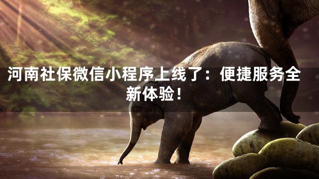 河南社保微信小程序上线了：便捷服务全新体验！