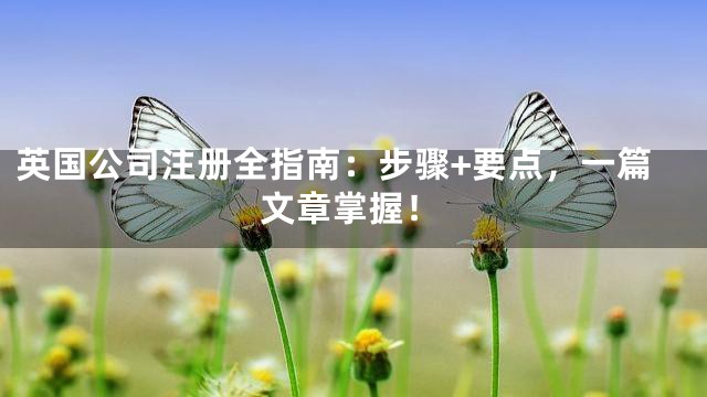 英国公司注册全指南：步骤+要点，一篇文章掌握！