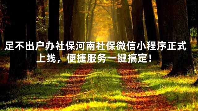 足不出户办社保河南社保微信小程序正式上线，便捷服务一键搞定！