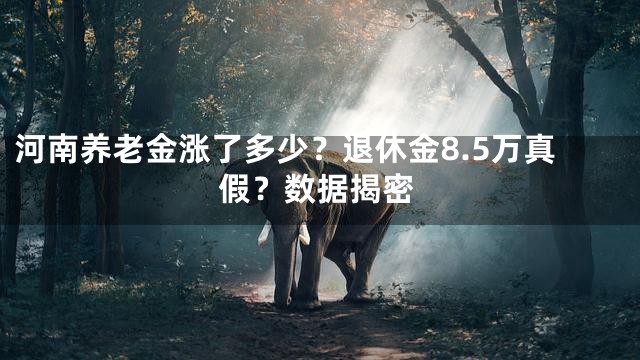 河南养老金涨了多少？退休金8.5万真假？数据揭密
