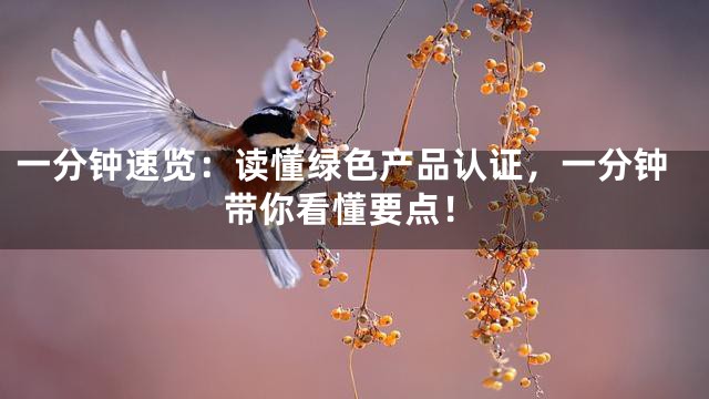 一分钟速览：读懂绿色产品认证，一分钟带你看懂要点！