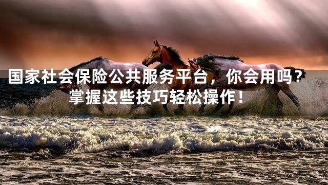 国家社会保险公共服务平台，你会用吗？掌握这些技巧轻松操作！