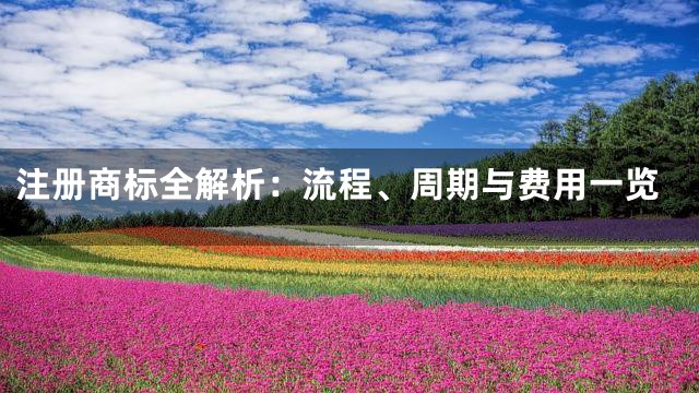 注册商标全解析：流程、周期与费用一览
