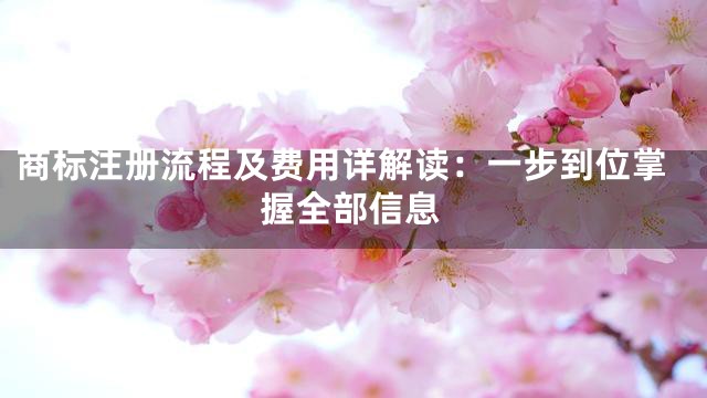 商标注册流程及费用详解读：一步到位掌握全部信息