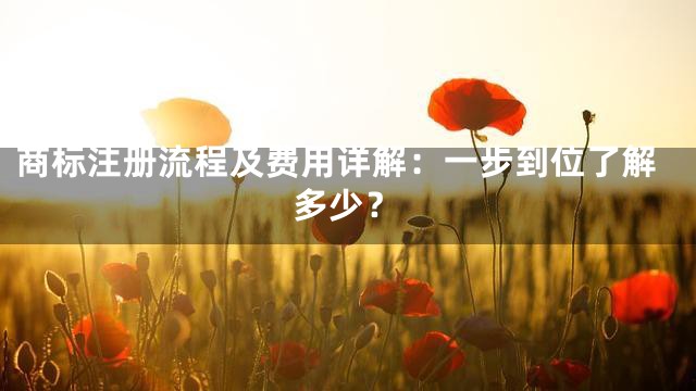 商标注册流程及费用详解：一步到位了解多少？