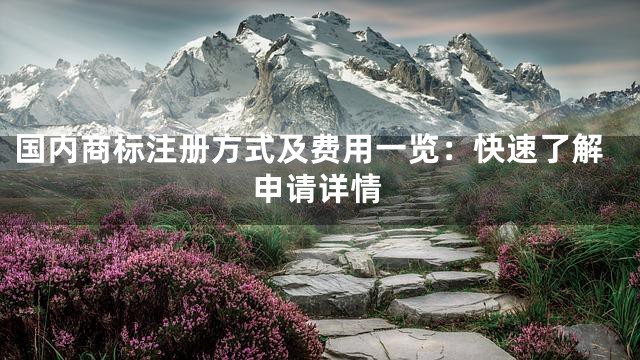 国内商标注册方式及费用一览：快速了解申请详情