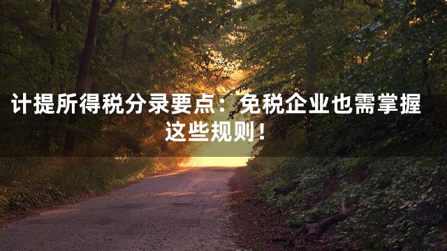 计提所得税分录要点：免税企业也需掌握这些规则！