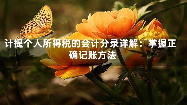 计提个人所得税的会计分录详解：掌握正确记账方法