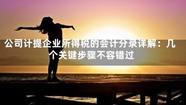 公司计提企业所得税的会计分录详解：几个关键步骤不容错过