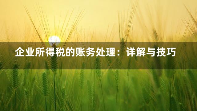 企业所得税的账务处理：详解与技巧