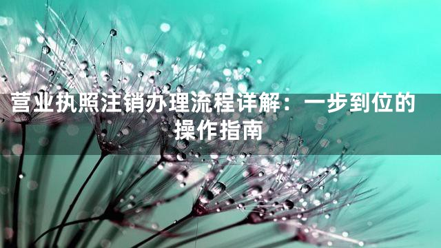 营业执照注销办理流程详解：一步到位的操作指南