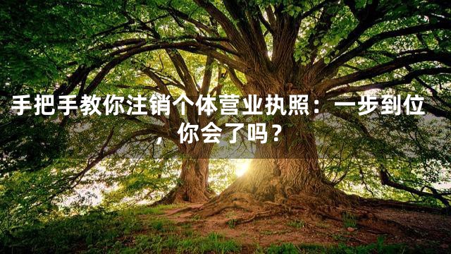 手把手教你注销个体营业执照：一步到位，你会了吗？