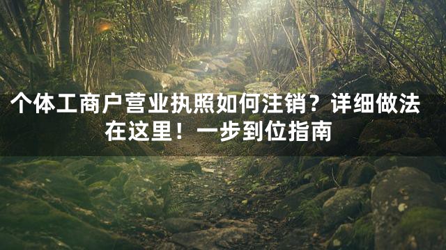 个体工商户营业执照如何注销？详细做法在这里！一步到位指南