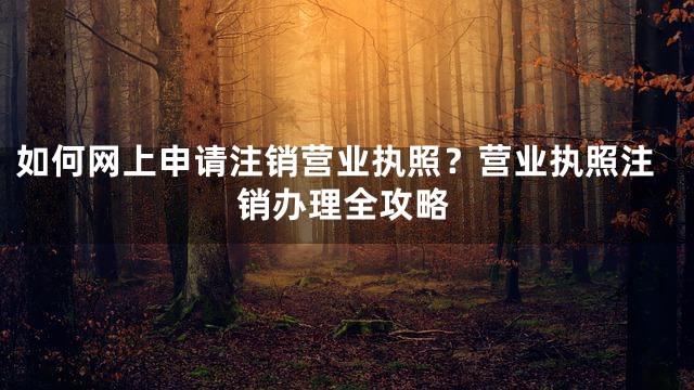 如何网上申请注销营业执照？营业执照注销办理全攻略