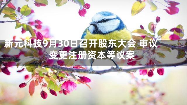 新元科技9月30日召开股东大会 审议变更注册资本等议案