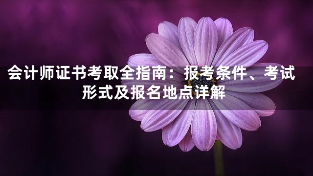 会计师证书考取全指南：报考条件、考试形式及报名地点详解