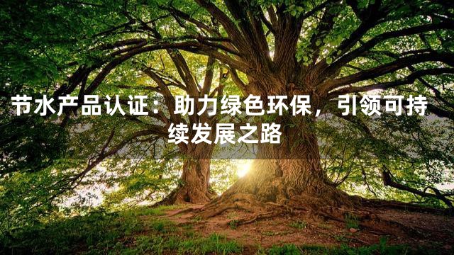 节水产品认证：助力绿色环保，引领可持续发展之路
