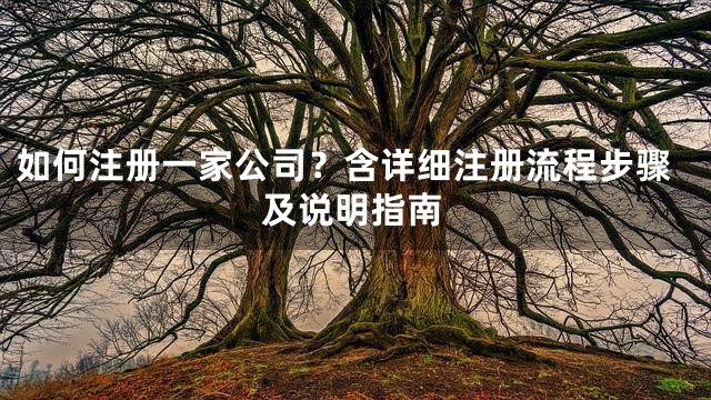如何注册一家公司？含详细注册流程步骤及说明指南