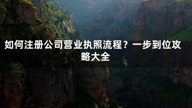 如何注册公司营业执照流程？一步到位攻略大全