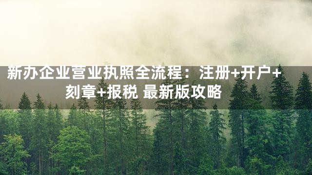新办企业营业执照全流程：注册+开户+刻章+报税 最新版攻略