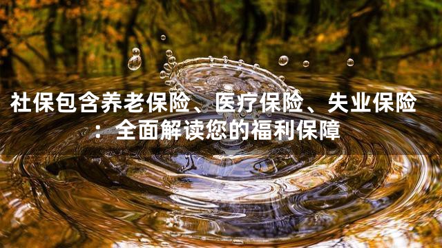 社保包含养老保险、医疗保险、失业保险：全面解读您的福利保障