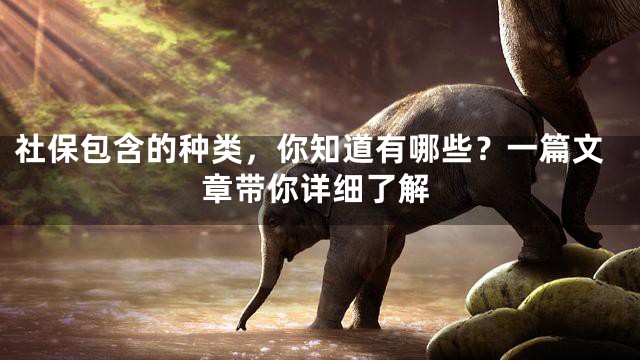社保包含的种类，你知道有哪些？一篇文章带你详细了解