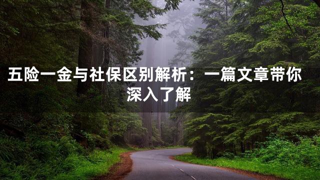 五险一金与社保区别解析：一篇文章带你深入了解