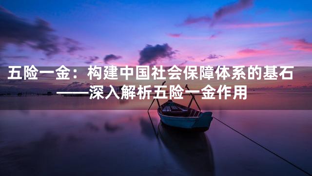 五险一金：构建中国社会保障体系的基石——深入解析五险一金作用