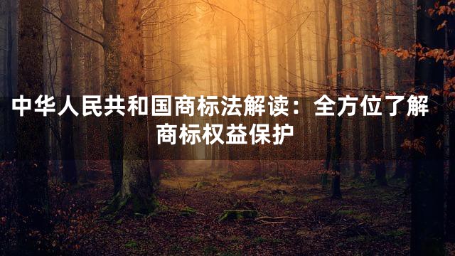 中华人民共和国商标法解读：全方位了解商标权益保护