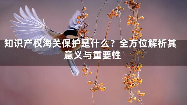 知识产权海关保护是什么？全方位解析其意义与重要性