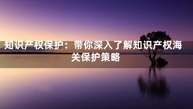 知识产权保护：带你深入了解知识产权海关保护策略