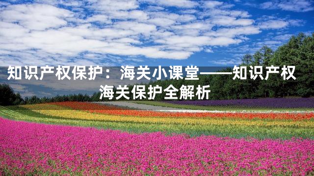 知识产权保护：海关小课堂——知识产权海关保护全解析