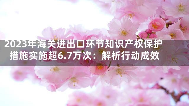 2023年海关进出口环节知识产权保护措施实施超6.7万次：解析行动成效