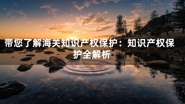 带您了解海关知识产权保护：知识产权保护全解析