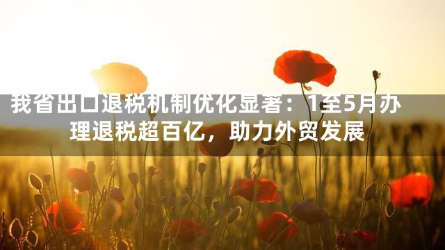 我省出口退税机制优化显著：1至5月办理退税超百亿，助力外贸发展