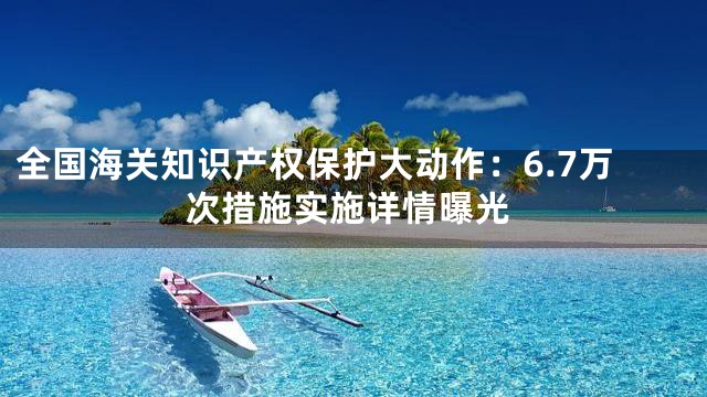 全国海关知识产权保护大动作：6.7万次措施实施详情曝光