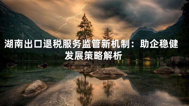湖南出口退税服务监管新机制：助企稳健发展策略解析