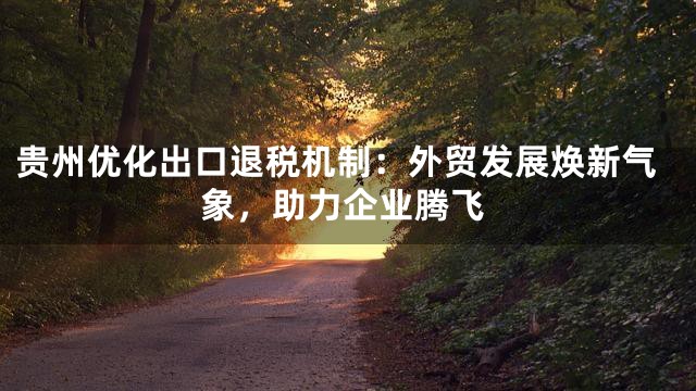 贵州优化出口退税机制：外贸发展焕新气象，助力企业腾飞