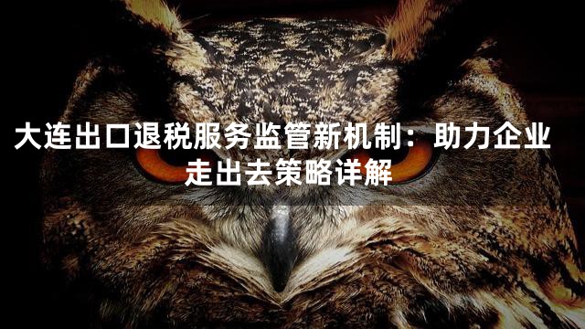 大连出口退税服务监管新机制：助力企业走出去策略详解