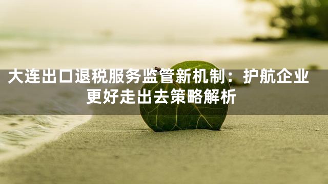 大连出口退税服务监管新机制：护航企业更好走出去策略解析