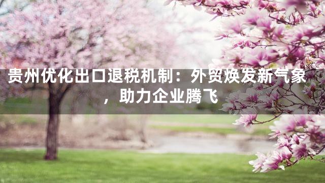 贵州优化出口退税机制：外贸焕发新气象，助力企业腾飞