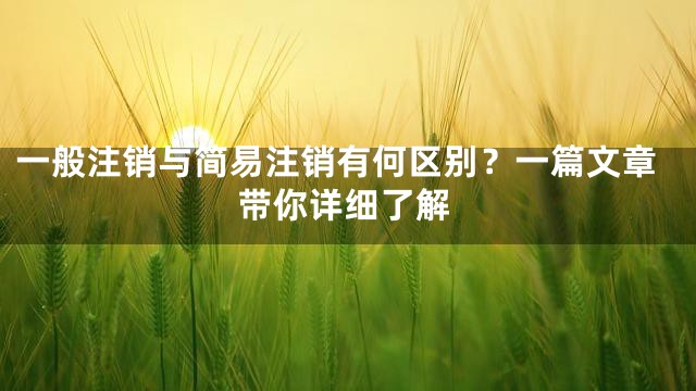 一般注销与简易注销有何区别？一篇文章带你详细了解