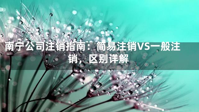 南宁公司注销指南：简易注销VS一般注销，区别详解