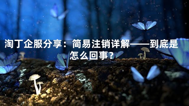 淘丁企服分享：简易注销详解——到底是怎么回事？