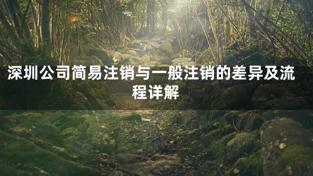 深圳公司简易注销与一般注销的差异及流程详解